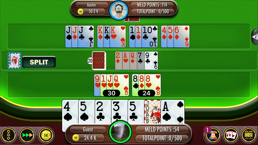 Rummy 500 Plus