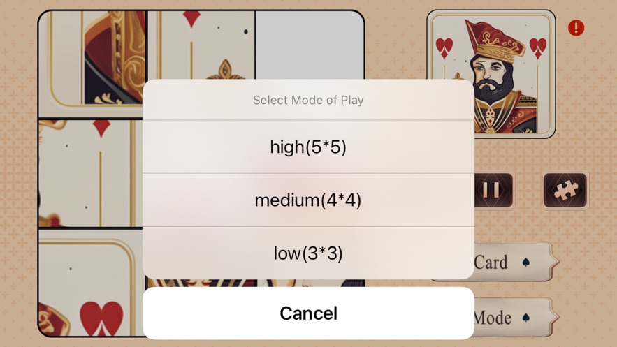 Man:Puzzle rummy